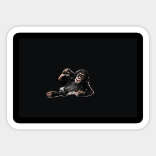 chimpanzee Sticker